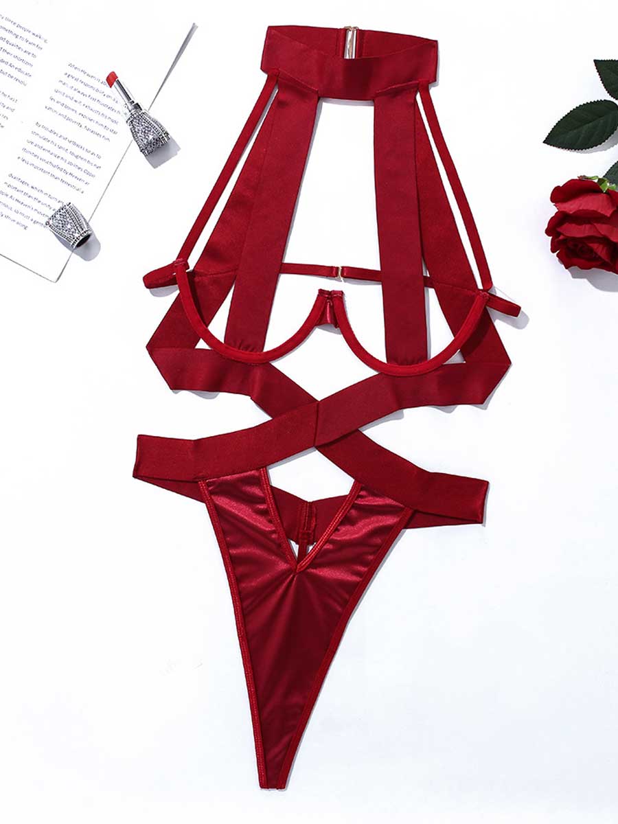 Sexy Shibari Teddy Suit